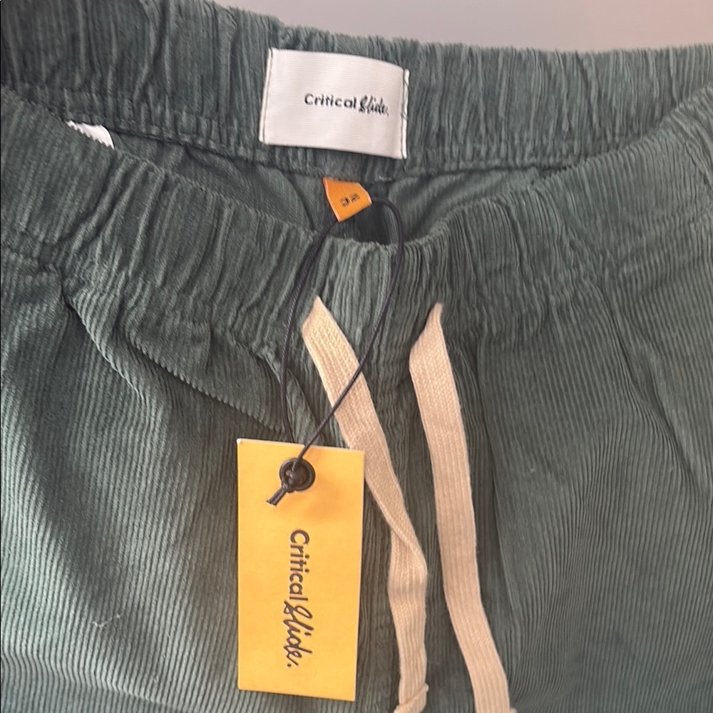 Critical Slide Corduroy Pants in Green
